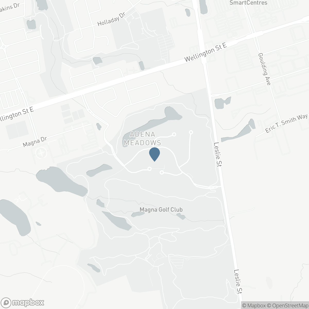 38 ADENA MEADOWS WAY, Aurora, Ontario L4G 7Y6